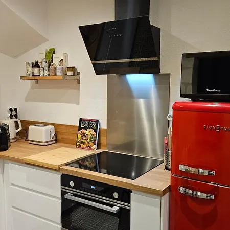 Duplex Elegant Tours Quais De Loire Appartement Buitenkant foto
