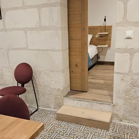 Duplex Elegant Tours Quais De Loire Appartement Buitenkant foto